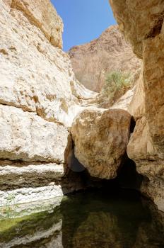 Oasis in the desert, Ein Gedi nature reserve on the shore of the Dead Sea. 