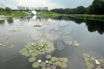 Pond with a white flowers of water lilies in the park