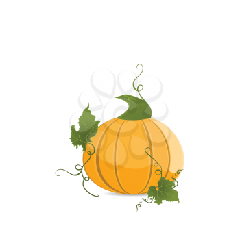 Royalty Free Clipart Image of a Ripe Pumpkin