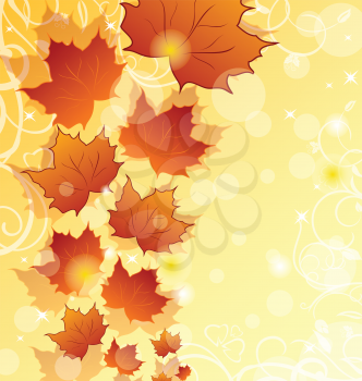 Illustration autumn floral background with maple leaves - vector