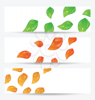 Illustration set autumn seasonal cards with changing leaves - vector
