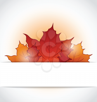 Illustration autumnal maple leaves sticking out of the cut paper - vector
