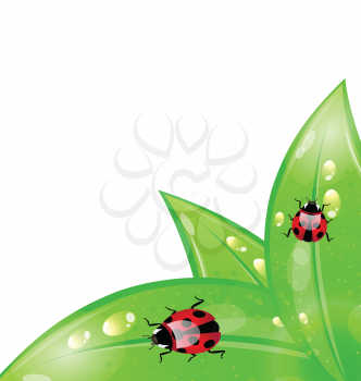 Illustration ecology background with ladybugs on leaves - vector