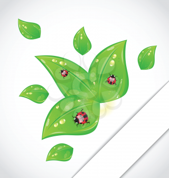 Illustration leaves with ladybugs sticking out of the cut paper - vector