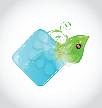 Illustration beautiful icon with green leaves and ladybugs - vector
