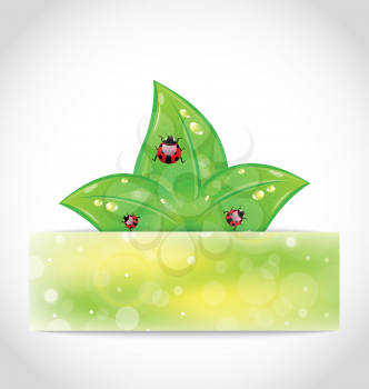 Illustration eco leaves with ladybugs sticking out of the cut paper - vector