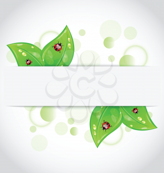 Illustration eco green leaves with ladybugs sticking out of the cut paper - vector
