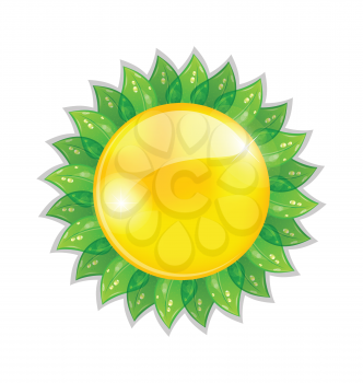 Illustration abstract sun with leaves isolated on white background - vector