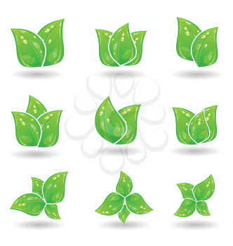 Illustration set of green eco leaves isolated on white background - vector