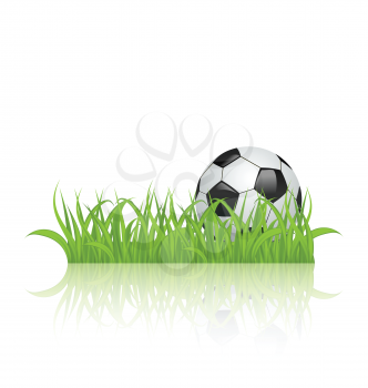 Illustration soccer ball on grass isolated on white background - vector