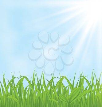 Illustration spring background with green grass - vector