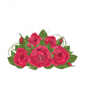 Illustration bouquet red roses isolated on white background - vector