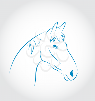 Illustration hand drawn head horse isolated on white background - vector
