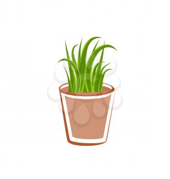 Illustration flowerpot with green grass plants isolated on white background - vector