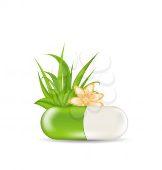 Illustration natural medical pill with flower, leaves, grass, isolated on white background - vector