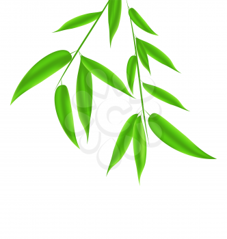 Illustration bamboo leaves pattern with space for your text - vector