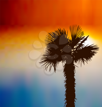 Illustration tropical background with palm tree at sunset - vector