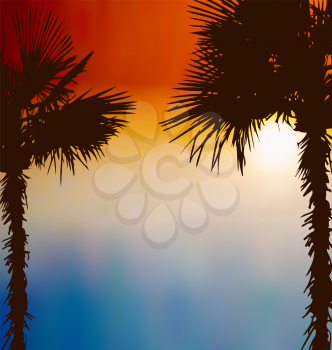Illustration tropical palm trees, sunset background - vector