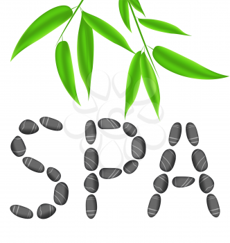 Illustration lettering spa with bamboo leaves - vector