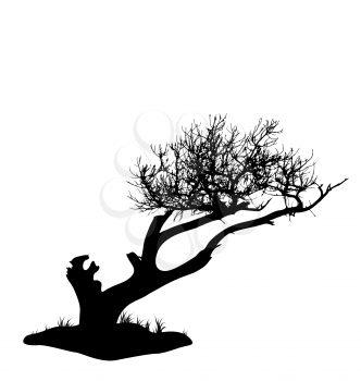 Illustration tree silhouette isolated on white background - vector