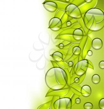 Illustration water drops on fresh green leaves texture, copy space for your text - vector