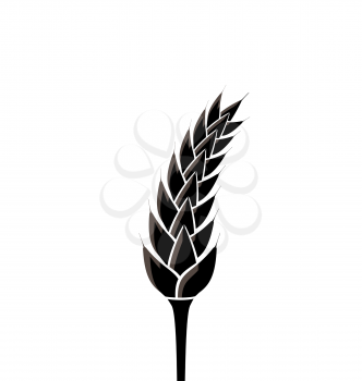 Illustration black silhouette of spikelet of wheat isolated on white background - vector