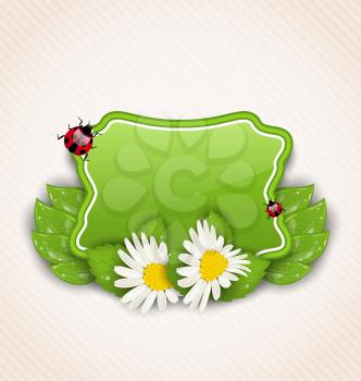 Illustration cute spring card with flower daisies, leaves, ladybugs - vector