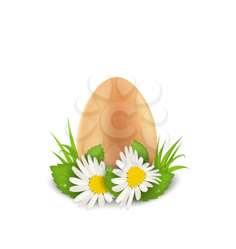 Illustration traditional Easter egg with flowers camomiles and grass, copy space for your text - vector