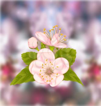 Illustration Cherry Blossom, Blur Nature Background - Vector