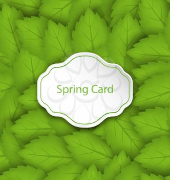 Illustration Spring Card on Seamless Stylish Pattern with Green Leaves - Vector