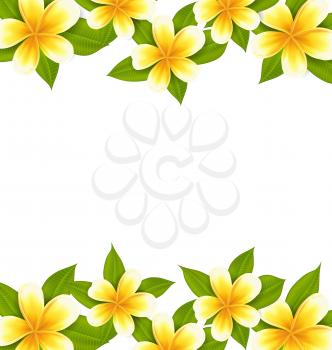 Illustration decoration frame made in frangipani (plumeria), ornament with exotic flowers on white background - vector