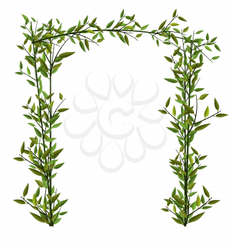 Illustration Arch Twined Bamboo Branch with Green Leafs isolated on white - vector