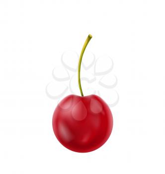Illustration Single Realistic Cherry Isolated on White Background - Vector