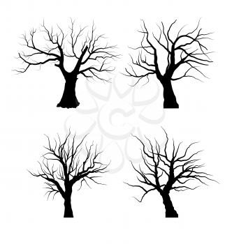 Set Sketch of Dead Tree without Leaves , isolated on white background - vector