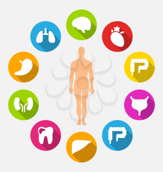 Illustration Silhouette of Male and Internal Human Organs, Collection Colorful Flat Icons with Long Shadows - Vector