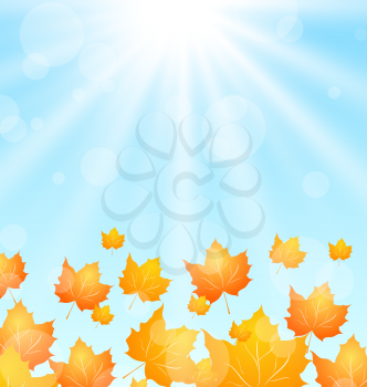 Illustration Autumn Flying Maples in Blue Sky - Vector