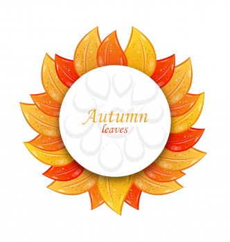 Autumn Greeting Card with Colorful Leaves, Isolated on White Background - Vector