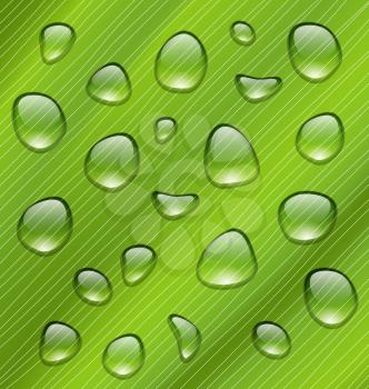 Illustration Water Drops on Fresh Green Texture of Leaf - Vector