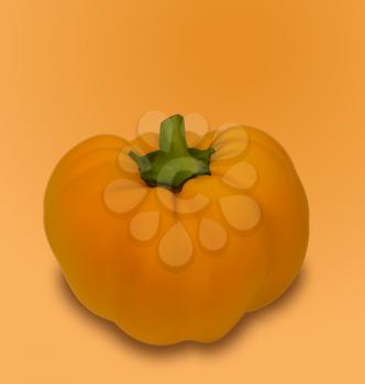 Illustration Pumpkin Vegetable with Shadow - Vector