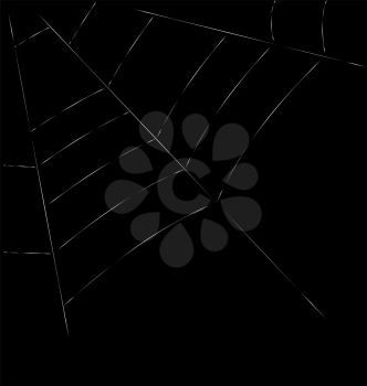 Trap Spider Web on Dark Background for Design Web or Nature concept - vector