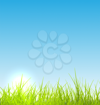 Green fresh grass and blue sky summer background - vector illustration