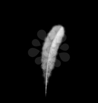 Style pen Concept of simple clear design, image in shape of smoke white feather isolated on black background - vector