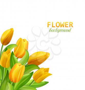 Illustration Spring Natural Bouquet with Yellow Tulips Flowers Isolated on White Background - Vector