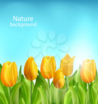 Illustration Nature Floral Background with Tulips Flowers and Blue Sky, Springtime, Environment, Beautiful Landscape - Vector