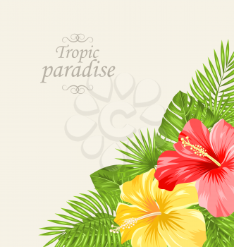 Illustration Vintage Greeting Card with Colorful Roses Mallow. Tropic Paradise Background - Vector 