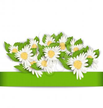 Illustration Beautiful Flowers Camomile with Shadows on White Background - Vector