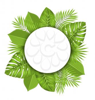 Illustration Clean Card with Text Space and Green Tropical Leaves - Vector