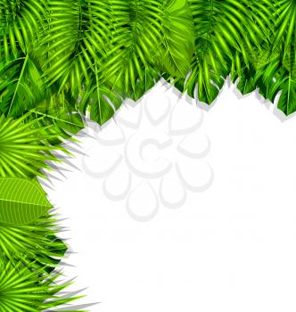 Illustration Summer Nature Background with Green Tropical Leaves - Vector