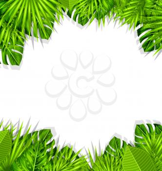 Illustration Summer Fresh Background with Tropical Leaves and Copy Space for Your Text - Vector
