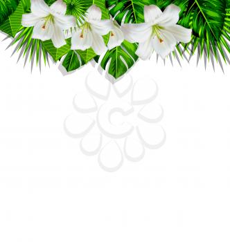 Frame border background branch with tropical leaves and white flowers lily, space for text, design template - vector